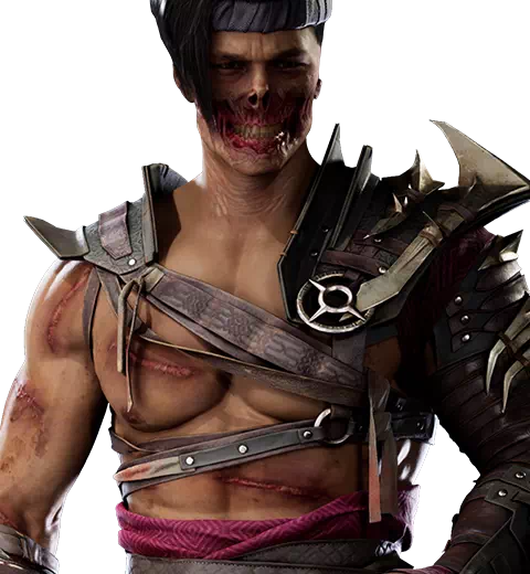 Havik