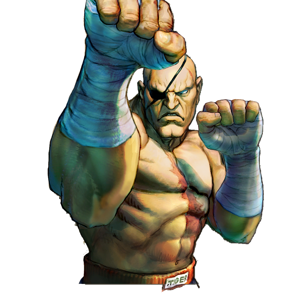 Sagat