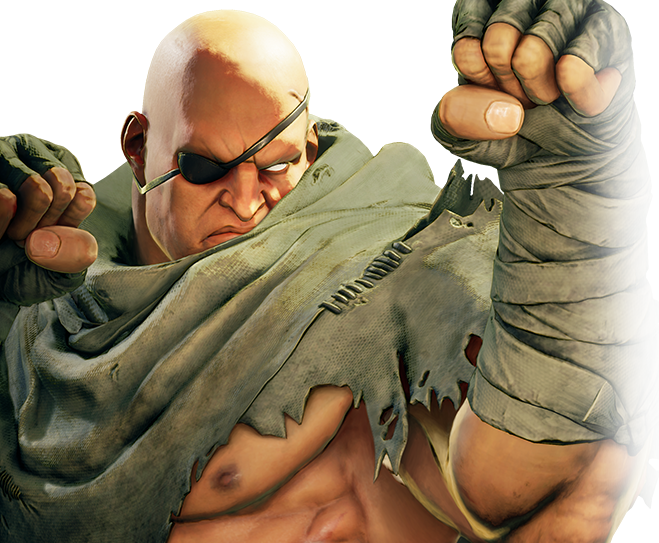 Sagat